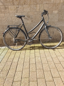 Stevens-Randonneur-gebraucht--Damenrad